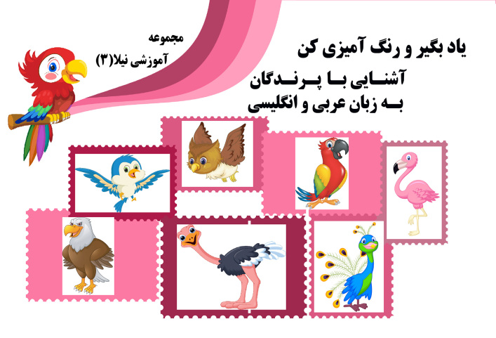 مجموعه آموزشی نیلا - 3